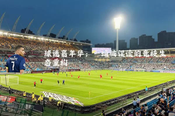 球迷嘉年华:一场被误读的竞技生态重构